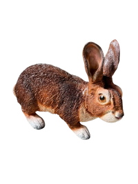 Resine Sculpture Lapin 45cm- S&C