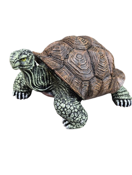 TORTUE 65CM