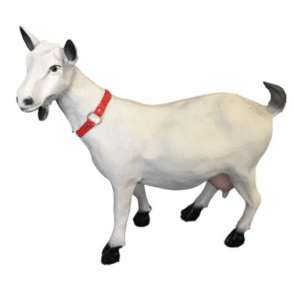Resine Sculpture Chevre 60cm Blanc MATIS - S&C