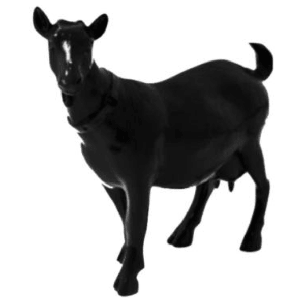 Resine Sculpture Chevre 60cm Noir MATILDE - S&C