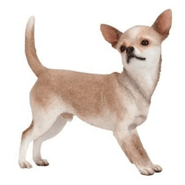 Resine Sculpture Chien Chihuahua 30CM Naturel ELDOR - S&C