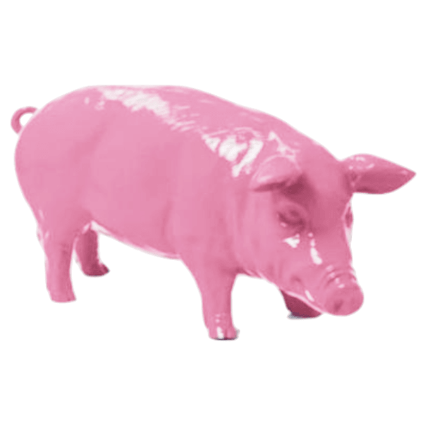 COCHON 100 CM