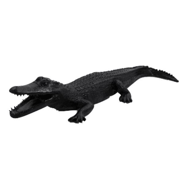 Resine Sculpture Crocodile 215CM Noir JOLYNE - S&C