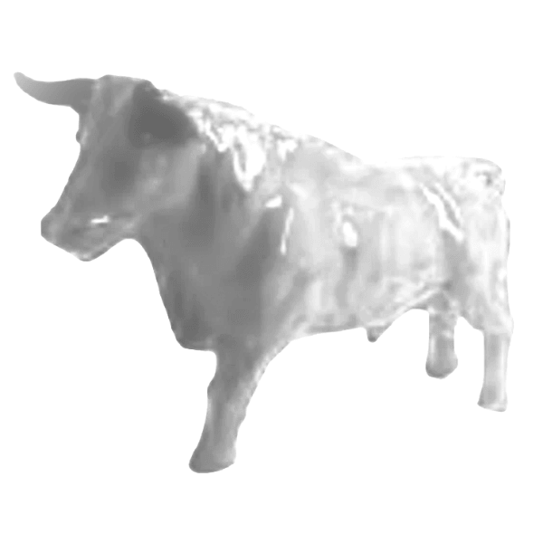 TAUREAU 100CM