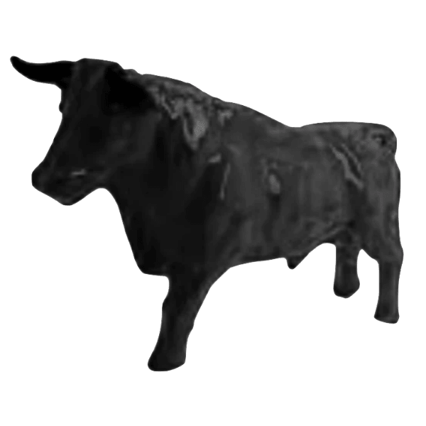 Resine Sculpture Taureau 100cm Noir CLOVIS - S&C