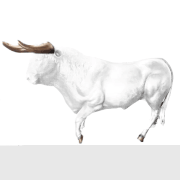 Resine Sculpture Taureau 250CM Blanc MATILDE - S&C