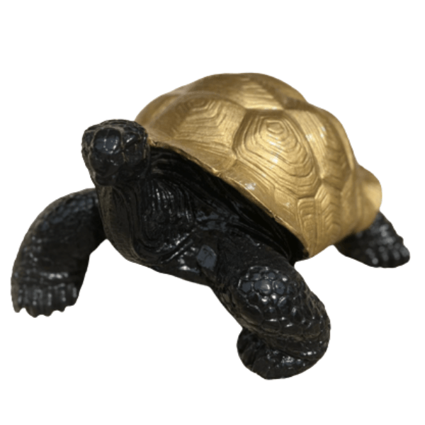 Resine Sculpture Tortue 65CM Doré HILDEGARD - S&C