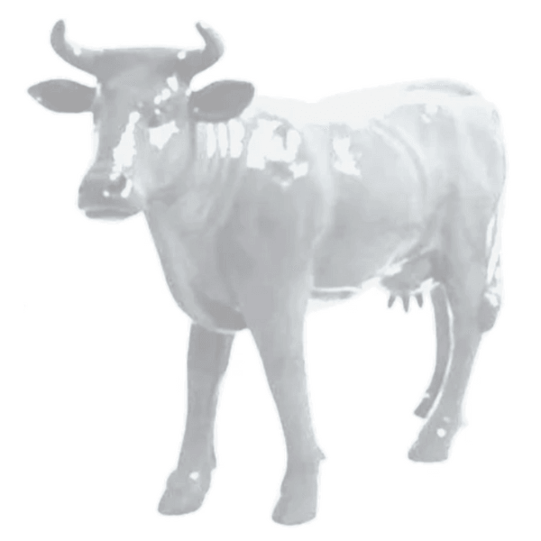 Resine Sculpture Vache 140CM Blanc MATIS - S&C
